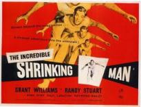 Shrinking Man poster